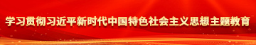 欧美大吊曹美女学习贯彻习近平新时代中国特色社会主义思想主题教育